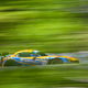 Illustration for article titled Sportscar Galore Bulls Running in the Rain North of the Border